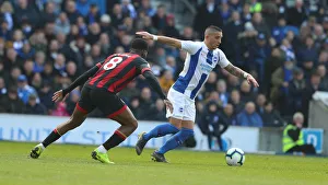 Brighton and Hove Albion vs Bournemouth: Premier League Battle at American Express Community Stadium (13APR19)