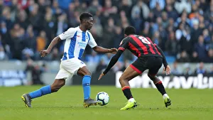 Brighton and Hove Albion vs Bournemouth: Premier League Battle at American Express Community Stadium (13APR19)