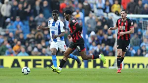 Brighton and Hove Albion vs Bournemouth: Premier League Showdown at American Express Community Stadium (13APR19)