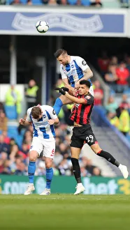 Brighton and Hove Albion vs Bournemouth: Premier League Showdown at American Express Community Stadium (13APR19)