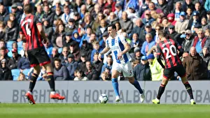 Brighton and Hove Albion vs Bournemouth: Premier League Battle at American Express Community Stadium (13APR19)