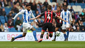 Brighton and Hove Albion vs Bournemouth: Premier League Battle at American Express Community Stadium (13APR19)