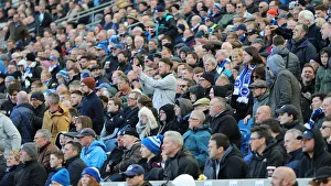 Brighton and Hove Albion vs Bournemouth: Premier League Showdown at American Express Community Stadium (13APR19)