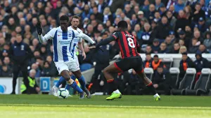 Brighton and Hove Albion vs Bournemouth: Premier League Showdown at American Express Community Stadium (13APR19)