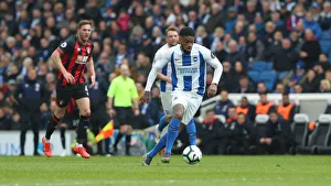 Brighton and Hove Albion vs Bournemouth: Premier League Battle at American Express Community Stadium (13APR19)