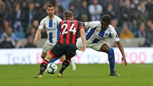 Brighton and Hove Albion vs Bournemouth: Premier League Battle at American Express Community Stadium (13APR19)