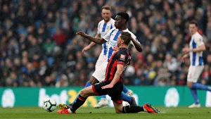 Brighton and Hove Albion vs Bournemouth: Premier League Showdown at American Express Community Stadium (13APR19)