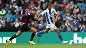 Brighton and Hove Albion vs Bournemouth: Premier League Showdown at American Express Community Stadium (13APR19)
