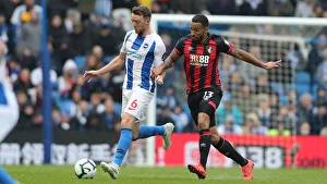 Brighton and Hove Albion vs Bournemouth: Premier League Battle at American Express Community Stadium (13APR19)