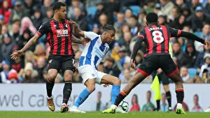 Images Dated 13th April 2019: Brighton and Hove Albion vs Bournemouth: Premier League Showdown at American Express Community