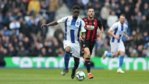 Bournemouth 13APR19 Collection: Brighton and Hove Albion vs. Bournemouth: Premier League Battle at American Express Community