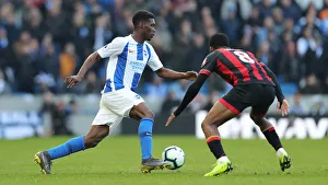 Brighton and Hove Albion vs Bournemouth: Premier League Showdown at American Express Community Stadium (13APR19)