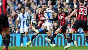Images Dated 13th April 2019: Brighton and Hove Albion vs. Bournemouth: Premier League Showdown at American Express Community