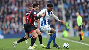 Images Dated 13th April 2019: Brighton and Hove Albion vs. Bournemouth: Premier League Battle at American Express Community