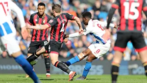 Brighton and Hove Albion vs Bournemouth: Premier League Showdown at American Express Community Stadium (13APR19)
