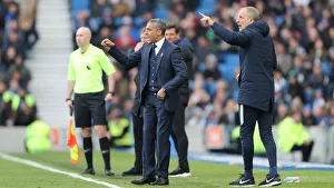 Brighton and Hove Albion vs Bournemouth: Premier League Battle at American Express Community Stadium (13APR19)