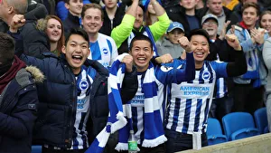 Brighton & Hove Albion vs Bournemouth: A Premier League Clash at American Express Community Stadium (28DEC19)