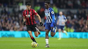 Brighton & Hove Albion vs Bournemouth: Premier League Battle at American Express Community Stadium (28DEC19)