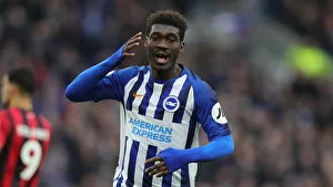 Brighton and Hove Albion vs Bournemouth: Premier League Battle at American Express Community Stadium (28DEC19)