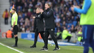 Brighton and Hove Albion vs Bournemouth: Premier League Battle at American Express Community Stadium (28DEC19)