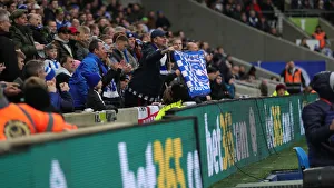 Brighton and Hove Albion vs Bournemouth: Premier League Clash at American Express Community Stadium (28DEC19)