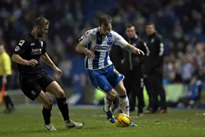 Bournemouth - 01-01-2014 Prints: Brighton & Hove Albion vs Bournemouth: 2013-14 Home Game