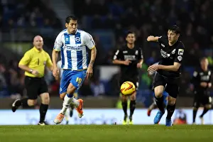 Brighton & Hove Albion vs. Bournemouth: 2013-14 Home Game