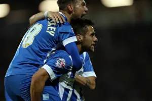 Brighton & Hove Albion vs. Bournemouth: 2014-15 Away Game