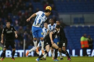 Images Dated 1st January 2014: Brighton & Hove Albion vs. Bournemouth: Home Game - January 1, 2014