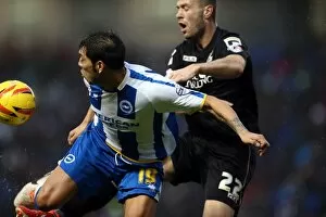 Images Dated 1st January 2014: Brighton & Hove Albion vs. Bournemouth: Home Battle (01-01-2014, Season 2013-14)