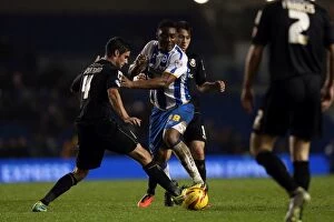 Images Dated 1st January 2014: Brighton & Hove Albion vs. Bournemouth: Home Game - January 1, 2014