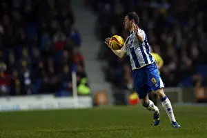 Brighton & Hove Albion vs. Bournemouth: Home Game (January 1, 2014)