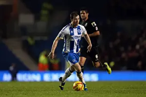 Bournemouth - 01-01-2014 Prints: Brighton & Hove Albion vs. Bournemouth: Home Game - January 1, 2014 (Season 2013-14)