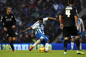 Bournemouth - 01-01-2014 Prints: Brighton & Hove Albion vs. Bournemouth: Home Game (January 1, 2014)