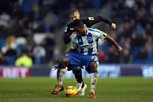 Bournemouth - 01-01-2014 Prints: Brighton & Hove Albion vs. Bournemouth: Home Game - January 1, 2014 (Season 2013-14)