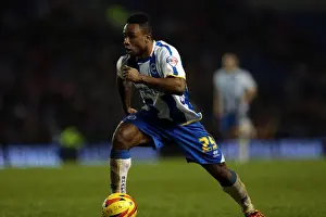 Bournemouth - 01-01-2014 Prints: Brighton & Hove Albion vs. Bournemouth: Home Game (January 1, 2014)