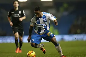 Bournemouth - 01-01-2014 Prints: Brighton & Hove Albion vs Bournemouth: Home Game - January 1, 2014 (Season 2013-14)