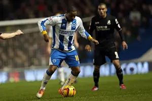 Bournemouth - 01-01-2014 Prints: Brighton & Hove Albion vs. Bournemouth: Home Game (January 1, 2014)