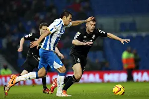Bournemouth - 01-01-2014 Prints: Brighton & Hove Albion vs. Bournemouth: Home Game (January 1, 2014)