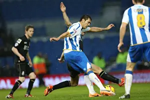 Bournemouth - 01-01-2014 Prints: Brighton & Hove Albion vs Bournemouth: Home Game - January 1, 2014