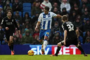 Bournemouth - 01-01-2014 Prints: Brighton & Hove Albion vs Bournemouth: Home Game - January 1, 2014 (Season 2013-14)
