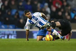 Bournemouth - 01-01-2014 Prints: Brighton & Hove Albion vs. Bournemouth: Home Game - January 1, 2014 (Season 2013-14)