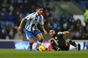 Bournemouth - 01-01-2014 Prints: Brighton & Hove Albion vs Bournemouth: Home Game - January 1, 2014 (Season 2013-14)