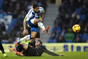 Bournemouth - 01-01-2014 Prints: Brighton & Hove Albion vs. Bournemouth: Home Game - January 1, 2014 (Season 2013-14)