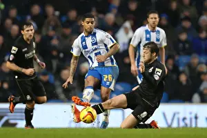 Bournemouth - 01-01-2014 Prints: Brighton & Hove Albion vs. Bournemouth: Home Game - January 1, 2014