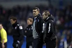 Bournemouth - 01-01-2014 Prints: Brighton & Hove Albion vs. Bournemouth: Home Game (January 1, 2014)