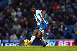 Bournemouth - 01-01-2014 Prints: Brighton & Hove Albion vs. Bournemouth: Home Game - January 1, 2014 (Season 2013-14)