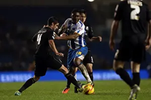 Bournemouth - 01-01-2014 Prints: Brighton & Hove Albion vs. Bournemouth: Home Game - January 1, 2014