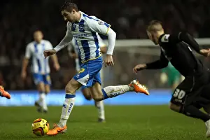 Brighton & Hove Albion vs. Bournemouth: Home Game - January 1, 2014