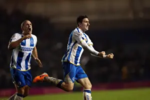 Bournemouth - 01-01-2014 Prints: Brighton & Hove Albion vs. Bournemouth: Home Game (January 1, 2014)